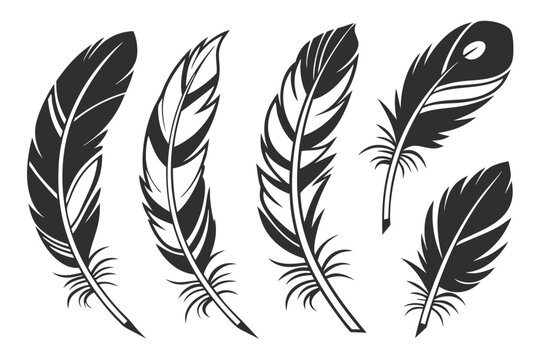 Realistic eagle feather icon set with black yellow and cyan colors