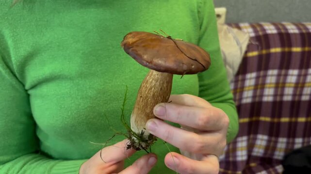 mushroom picker holding an attractive mushroom