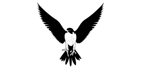 a black and white illustration of a bird in flight, showcasing its wings spread widebird, black, eagle, falcon, flight, fly, illustration, sky, spread, white, wing 