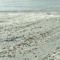 Close-up of rough dirt road surface with tire tracks and dry soil textures on a sunny day.