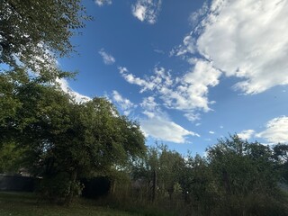 Obraz premium Blue sky with white clouds and green trees - idealistic autumn garden scenery