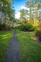 Lava Tree State Monument on Big Island, HI
