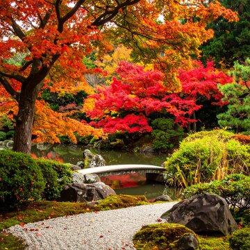 A serene garden scene with a small stone bridge over a pond, surrounded by vibrant autumn foliage and lush greenery