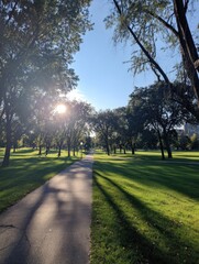 A sunny path through a park, with trees casting shadows on grass under a clear sky