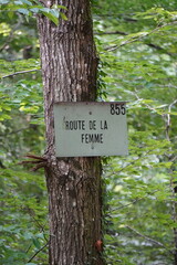 Route de la Femme