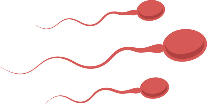 Illustration of sperm cells swimming isolated on white background
