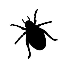 Isolated black silhouette of a beetle on a white background, vector illustration