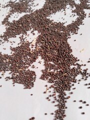 brassica campestris seeds on white background or mustard seeds isolated on white background 