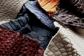 Various Colored Crocodile Leather Pieces for Handcrafting9