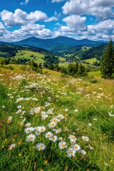 Lush field of daisies overlooks a mountain valley under a bright, cloudy sky