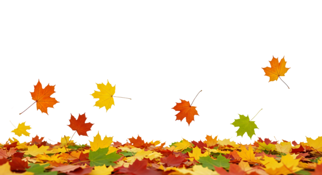 A variety of colorful autumn leaves are scattered along the bottom of the image. No background, PNG high quality file.