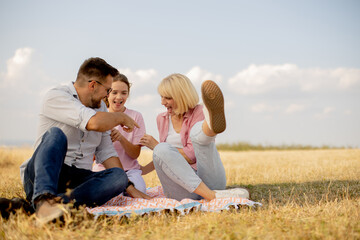 Family enjoys a sunny day outdoors while playing games on a blanket in a grassy field during late afternoon