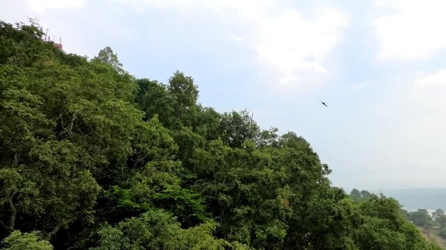 The beautiful nature seen on the ropeway ride to Manasa Devi Temple in Haridwar, Uttarakhand, India