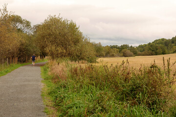 Landscape