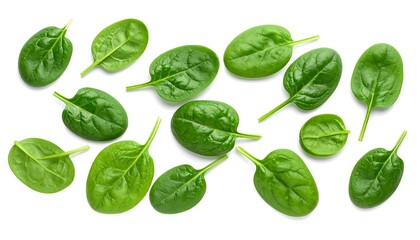 Obraz premium A collection of fresh, vibrant green spinach leaves artfully arranged on a clean white background, showcasing their texture and color