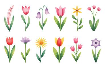 Obraz premium Minimal watercolor floral collection of blooming garden stems. Spring blossoms illustration in watercolor brushwork.