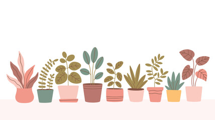 Collection of various potted houseplants in different pots and colors