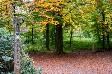 autumn on the cotswold way
