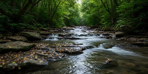 Obraz premium A scenic view of a stream flowing through a lush green forest, creating a tranquil and natural landscape.