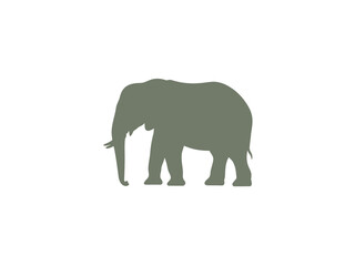 Fototapeta premium Silhouette of a large elephant walking against a white background