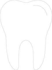 Detailed Human Tooth vector Illustration