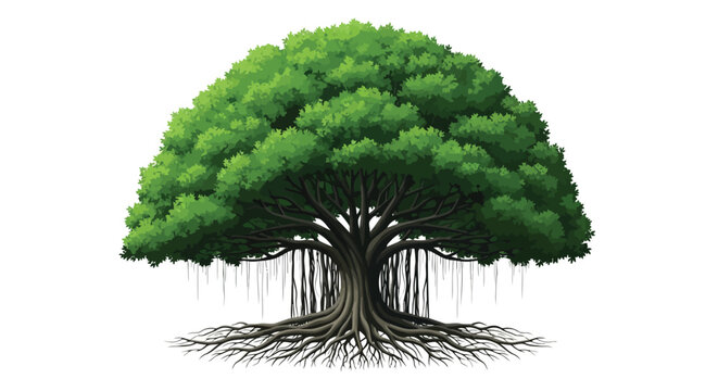 Vector illustration of a large, mature banyan tree with aerial roots and a dense canopy of green leaves, isolated on a, symbolizing strength and longevity