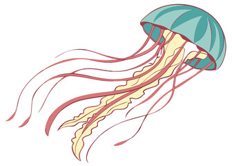 Fototapeta premium teal jellyfish with flowing orange tentacles - graceful marine creature floating underwater ocean illustration vector design isolated on white background.