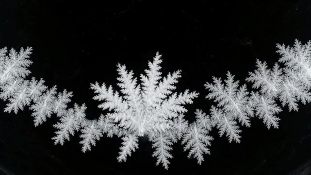 Abstract Crystal Art with beautiful window freezing animation from borders to center timelapse frost forming transition natural icing isolated on black background and white luminance matte alpha