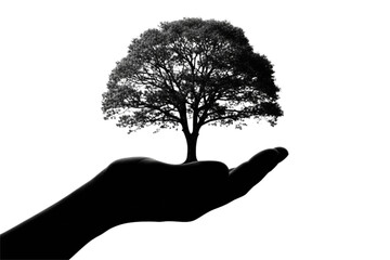Protecting nature for future generations, a tree rests gently in the palm of a hand, symbolizing growth, resilience, and environmental stewardship elegantly