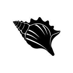 Orange conch seashell vector illustration isolated scalable graphic design object