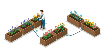 Isometric gardening scene with person watering raised plant beds in urban env…