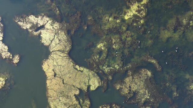 England, Burton upon Trent - Branston Water Park