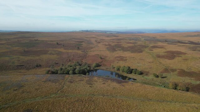 England, Peak District - Burbage Valley Plantation