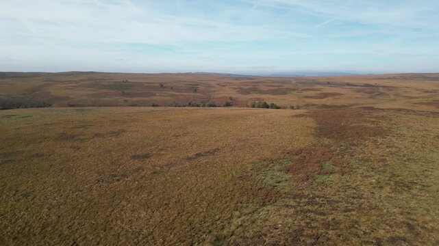 England, Peak District - Burbage Valley Plantation