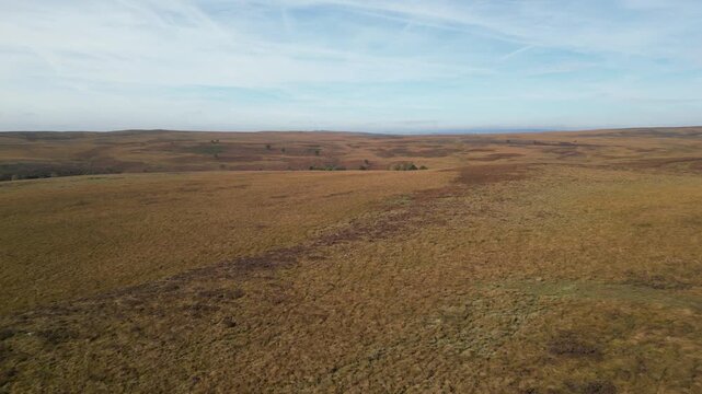England, Peak District - Burbage Valley Plantation