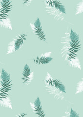 Fern Leaves