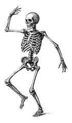 Halloween Dancing Skeleton &ndash; Gothic Vintage Engraving Illustration, Black and White Vector on Transparent Background