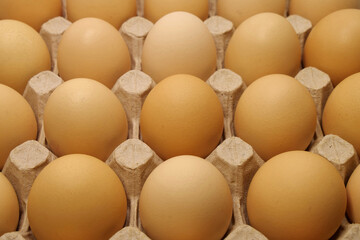 Fresh yellow chicken eggs in tray