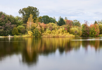 Fototapeta premium Fall Colours of Trout Lake