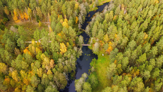Remains of the old Varėna&ndash;Alytus railway bridge over the Varėnė River in the Glūkas Forest, Varėna district, Lithuania. Today replaced by a wooden pedestrian tourist bridge. Autumn aerial landscape.