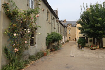 Vieille rue typique dans le village, village de Rochefort en Terre, département du Morbihan,...