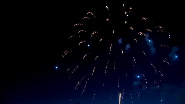Blue firework exploding in the night sky