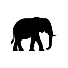 Elephant Silhouettes in Motion and Grace