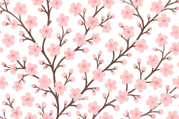 Fototapeta premium Blossoming cherry blossoms on a white background create a serene and elegant atmosphere in springtime