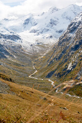 A breathtaking high-altitude autumn valley where golden larch forests blanket the slopes beneath snow-capped peaks, while a crystal-clear river snakes through the colorful landscape.