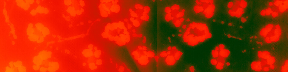 Red Patterns Animales. Ethnic Design. Watercolor