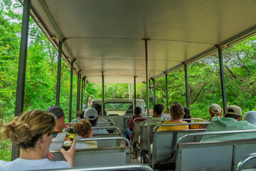 Tourists riding in an open-sided safari vehicle through dense green tropical forest on a guided wildlife tour