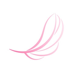pink feather illustration without background