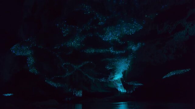 Bioluminescent glowworms lighting up a dark cave