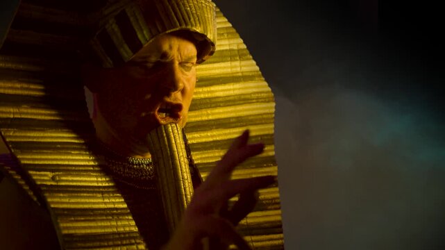 Pharaoh of Egypt The man in the suit Ancient Egyptian pharaoh Tutankhamun Ramses